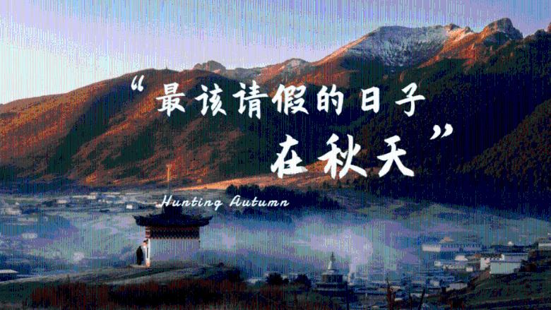 巫师2：刺客之王